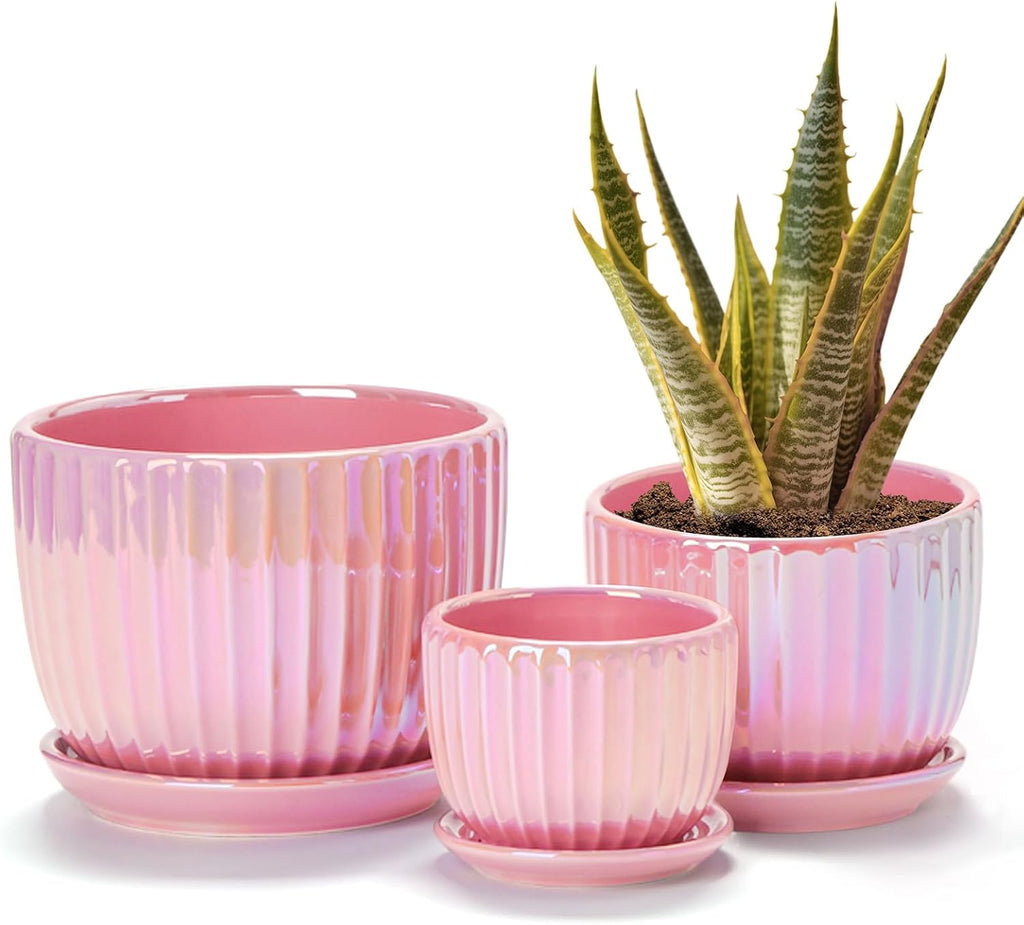 Pink Ceramic Plant Pot Trio