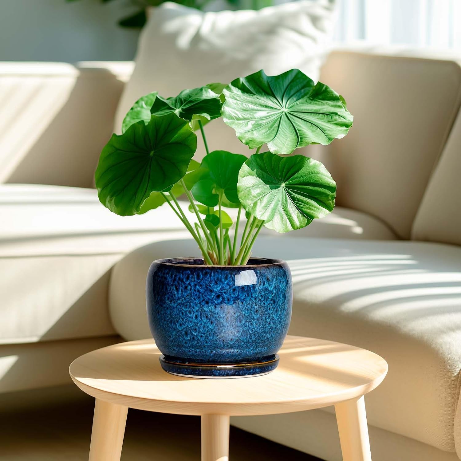Blue Glazed 8Inch Planter