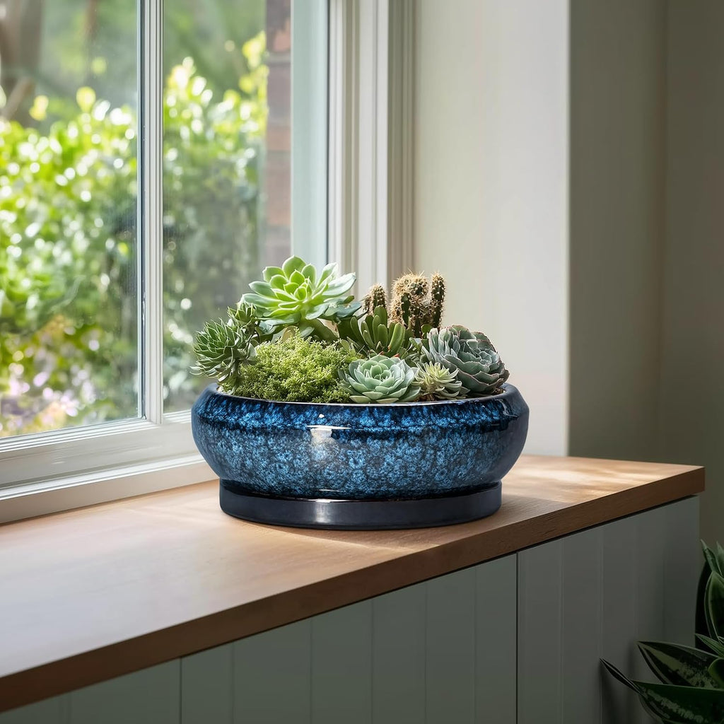 Blue Shallow Ceramic Bonsai Pot