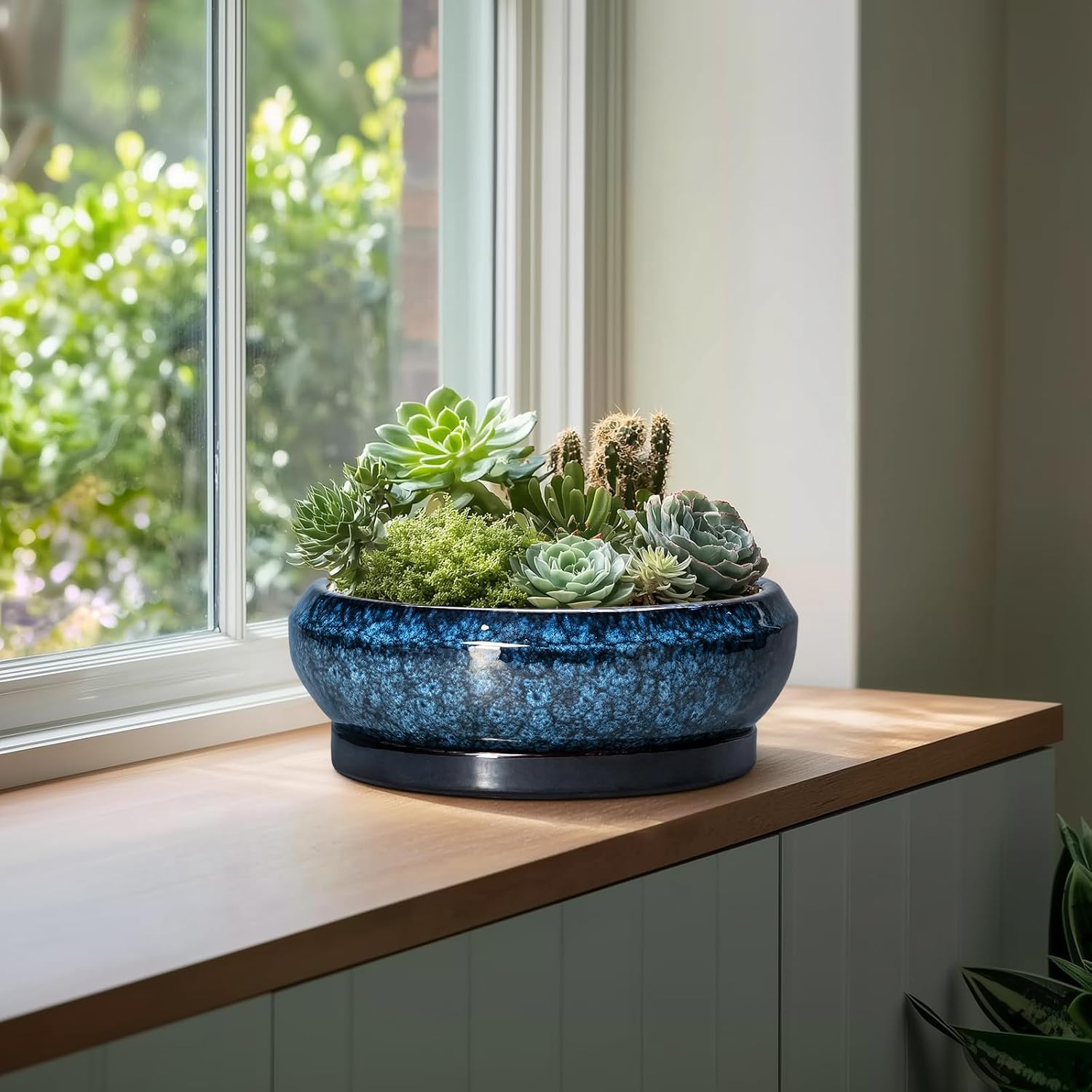 Blue Shallow Ceramic Bonsai Pot