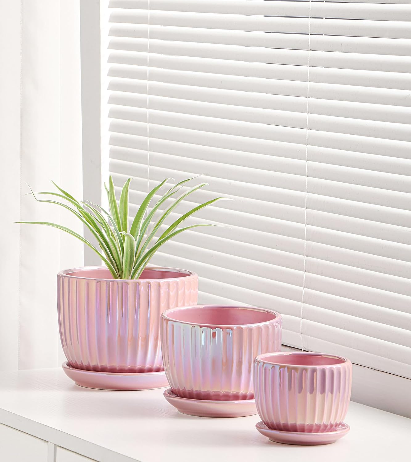 Pink Ceramic Plant Pot Trio