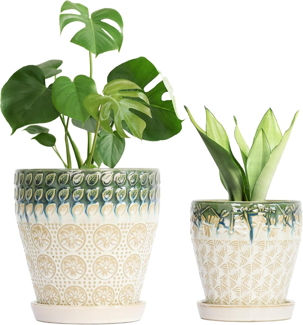 Dual Size Ceramic Plant Pots