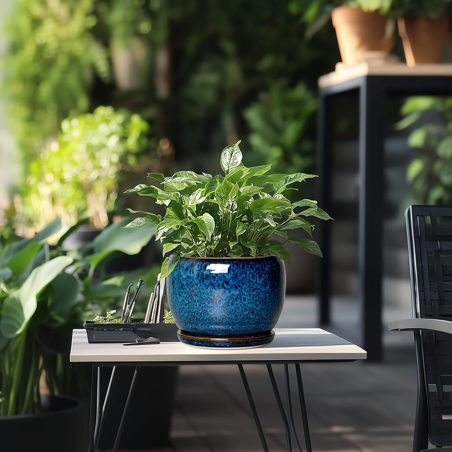 Blue Glazed 8Inch Planter