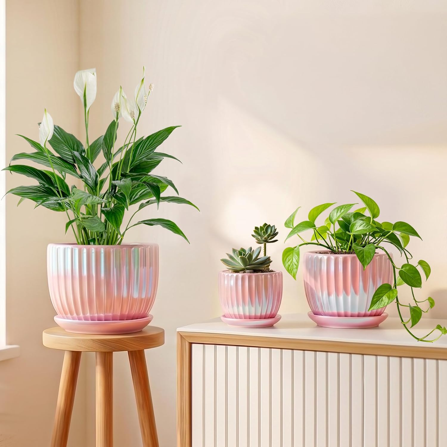 Pink Ceramic Plant Pot Trio