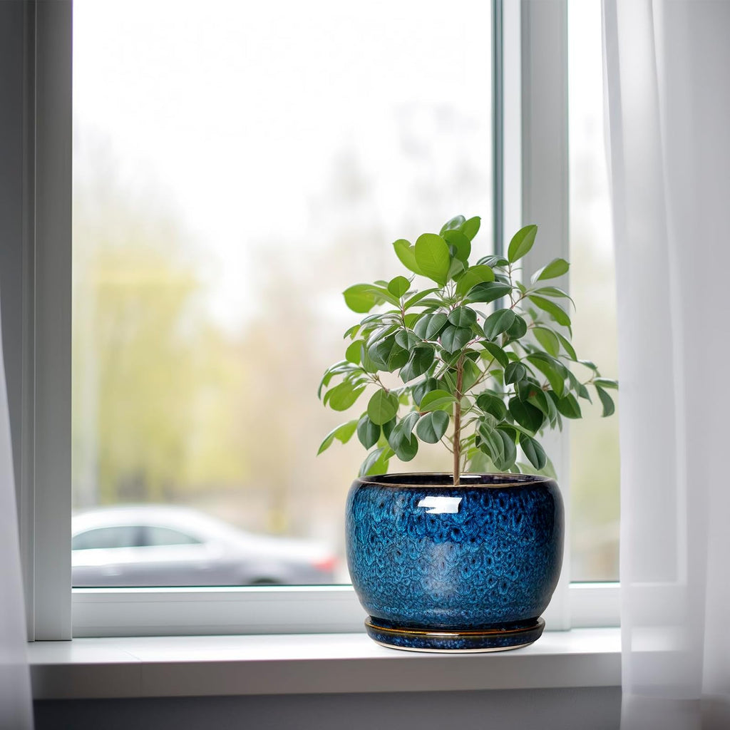 Blue Glazed 8Inch Planter
