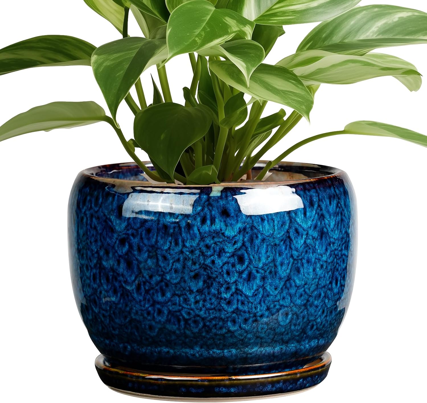 Blue Glazed 8Inch Planter