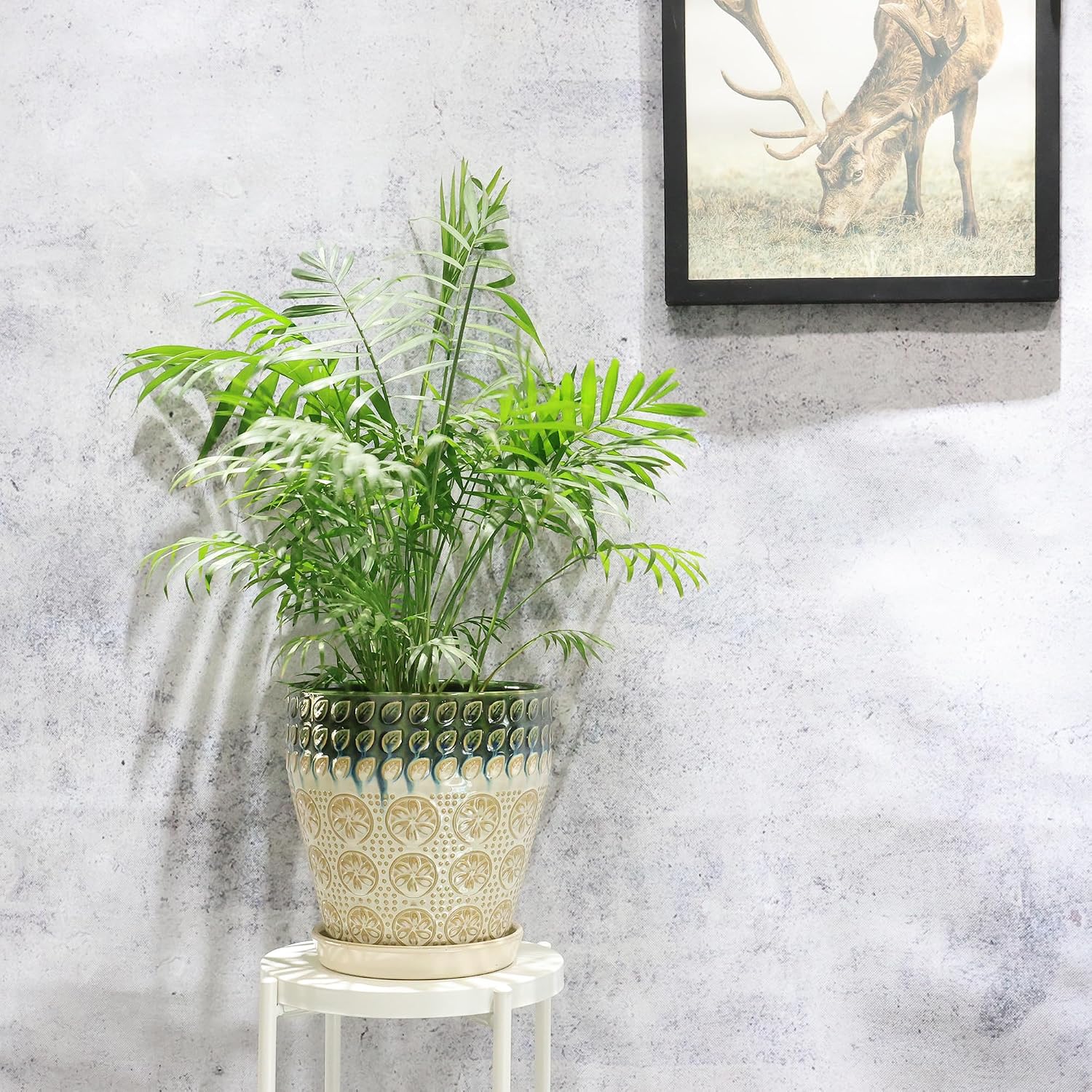 Dual Size Ceramic Plant Pots