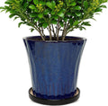 Blue 10 Inch Ceramic Planters