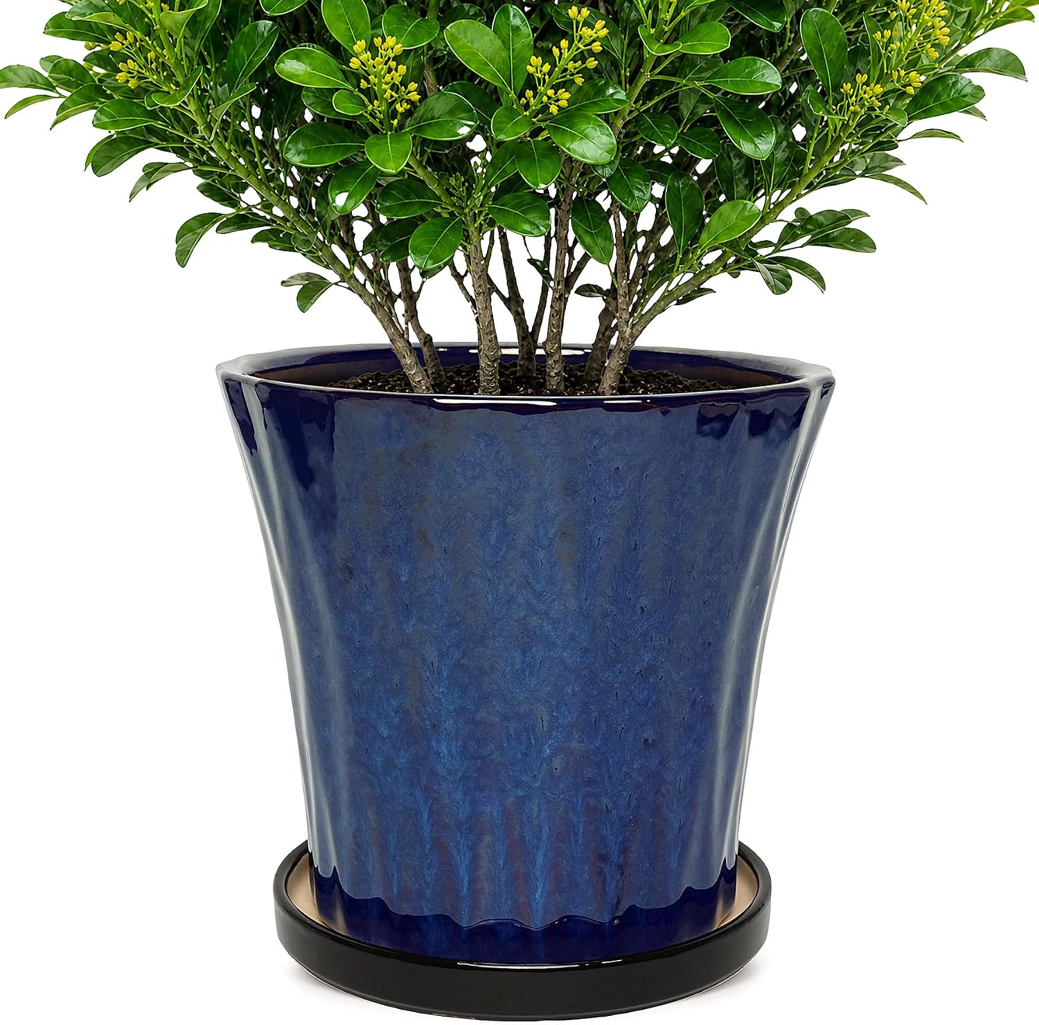 Blue 10 Inch Ceramic Planters
