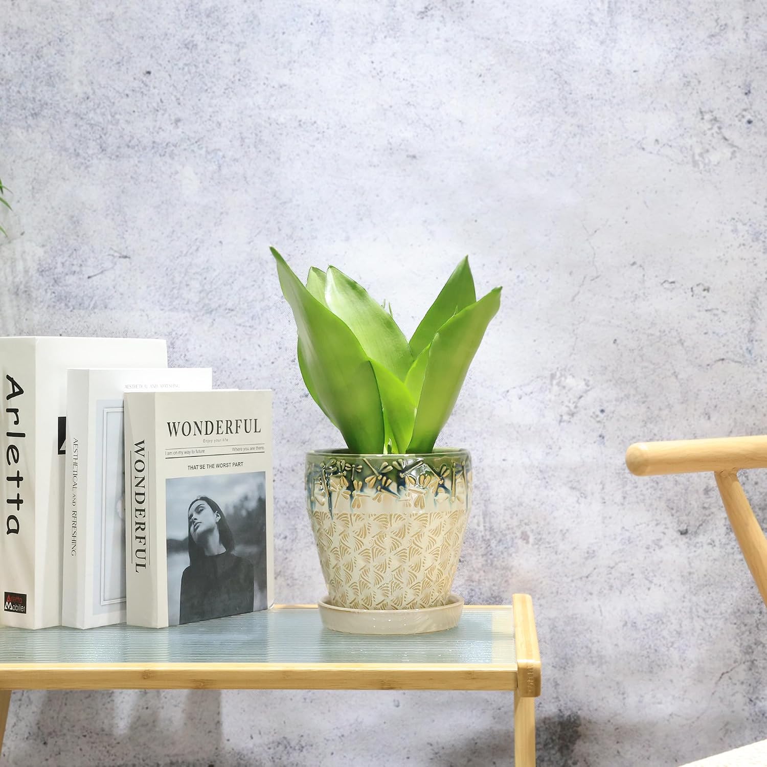 Dual Size Ceramic Plant Pots